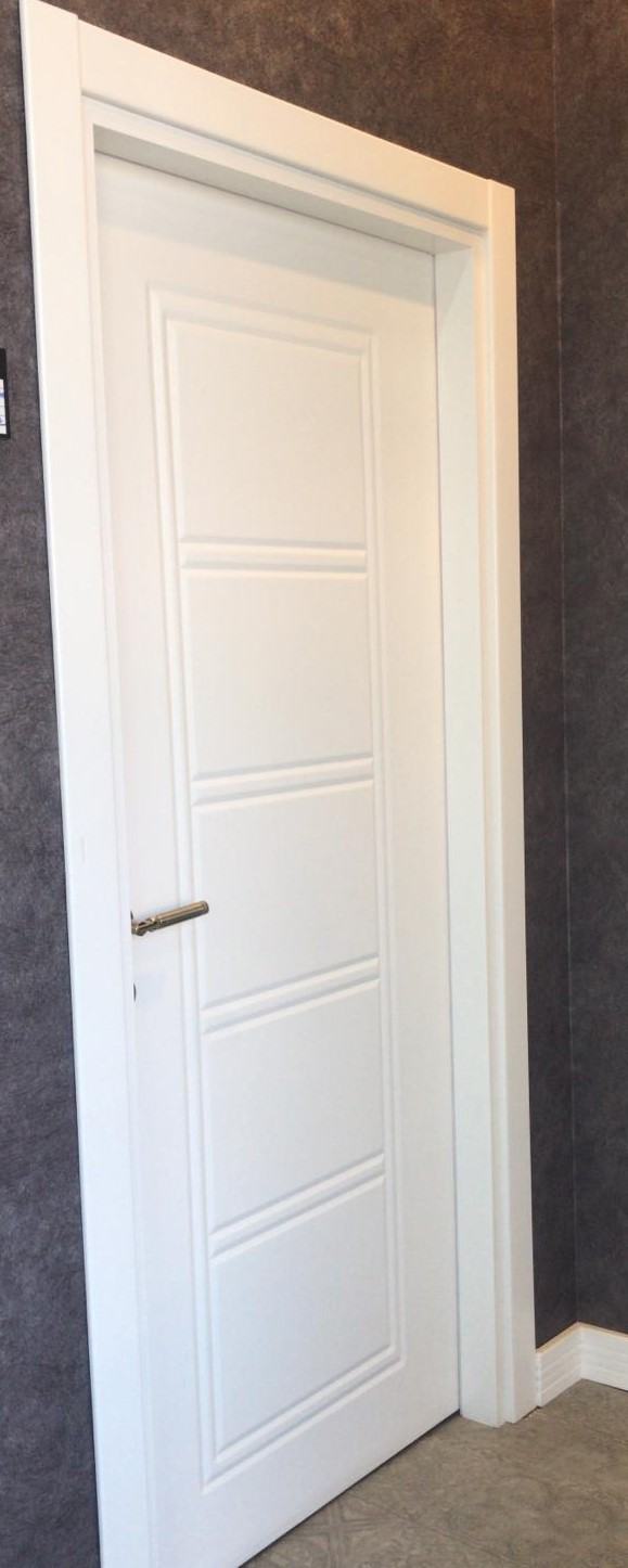 Line Detailed Door